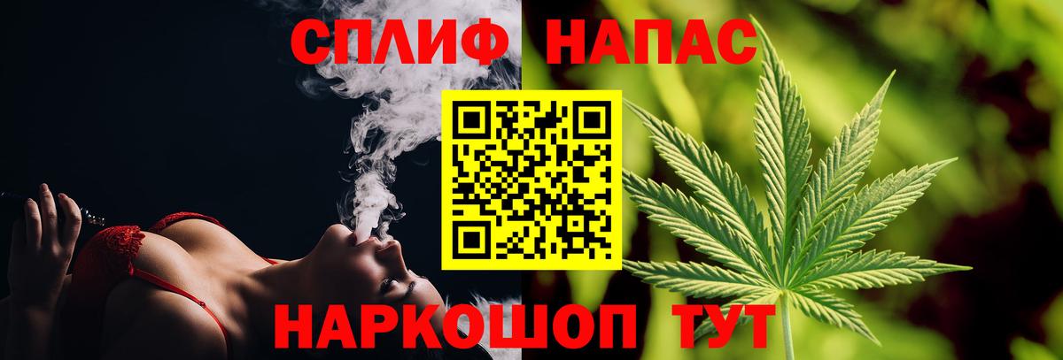 Бошки Шишки планчик Великие Луки